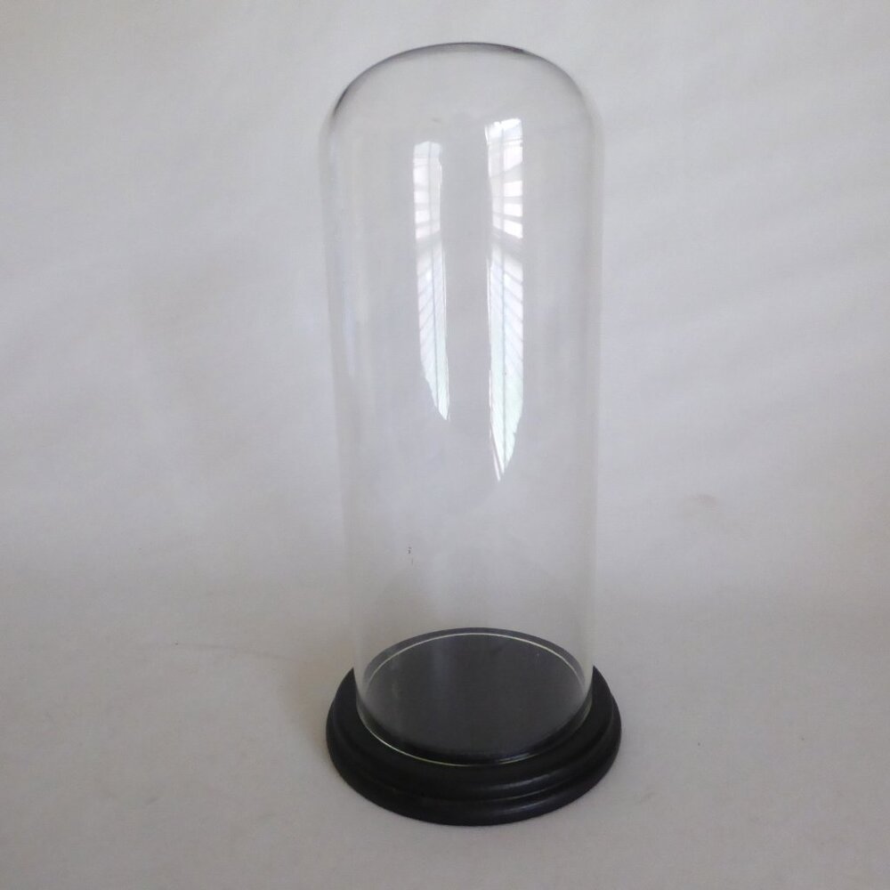 NEW 13” DECORATIVE GLASS CLOCHE DISPLAY DOME COVER BLACK WOOD BASE